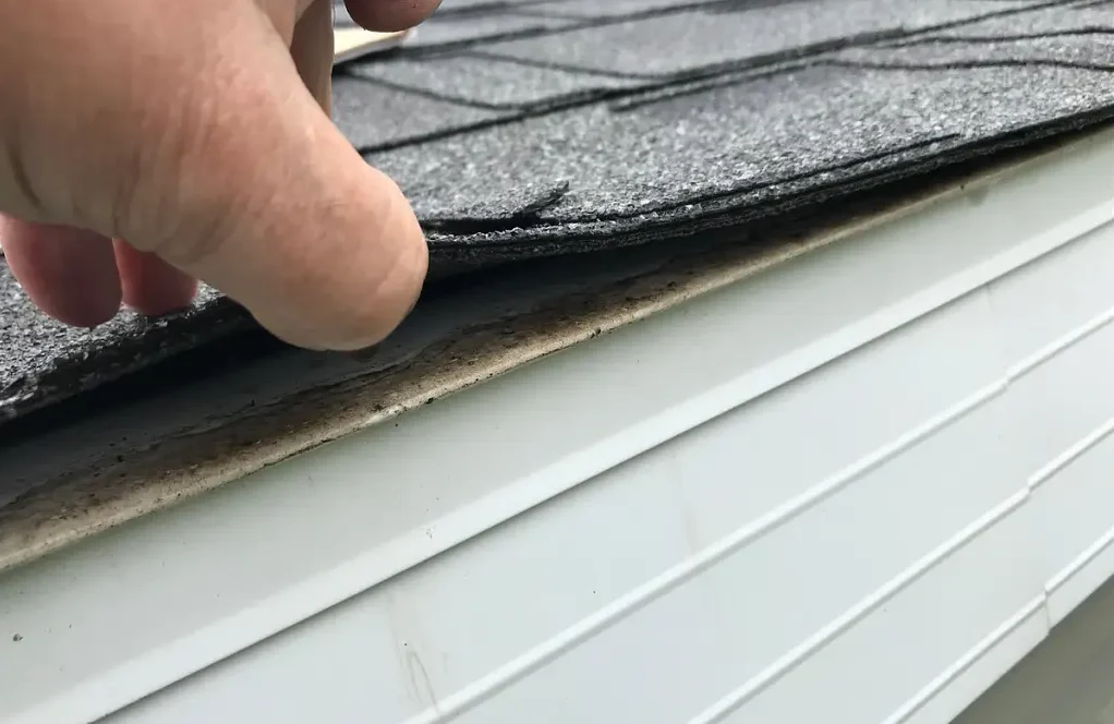 Image shows roof inspector checking shingles at roof's edge.